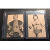 Image 1 : 1973 Wrestling Annual Wrestling Card Lot