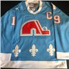 Image 3 : JOE SAKIC SIGNED QUEBEC NORDIQUES CUSTOM JERSEY