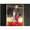 Image 1 : DENNIS RODMAN SIGNED 8 X 10 FRAMED WITH COA