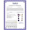 Image 2 : Genuine 8.7 ctw Amethyst Earrings 14KT White Gold - REF-53W6Y