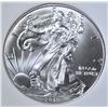 Image 2 : 2013 AMERICAN SILVER EAGLE, PNA PERFECT GEM BU