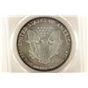 Image 2 : 1993 AMERICAN SILVER EAGLE PCGS MS66