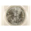 Image 1 : 1996 AMERICAN SILVER EAGLE PCGS MS69