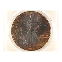 2004 AMERICAN SILVER EAGLE PCGS UNC DETAILS