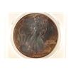 Image 1 : 2004 AMERICAN SILVER EAGLE PCGS UNC DETAILS