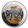 Image 1 : 2020 Somalia 1 oz Silver Elephant (Colorized)