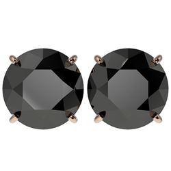 5 ctw Fancy Black Diamond Solitaire Stud Earrings 10k Rose Gold