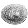 Image 2 : 2016 Palau 3 oz Silver Oyster V Hologram Convex Haliotis Ovina