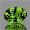 Image 1 : Natural AAA Fire Premium Green Demantoid - FL