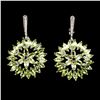 Image 1 : Natural Peridot Rhodolite Garnet 63 Cts  Earrings