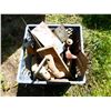 Image 1 : CRATE WITH ASSORTED TROWELS