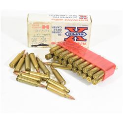 22-250Rem Ammo and Brass