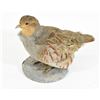 Image 1 : Hungarian Partridge Mount