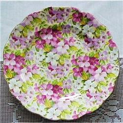 Royal Standard CHINTZ 6 1/4" PLATE #940504