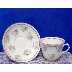 Salisbury Cup & Saucer Hand Pntd. #940526