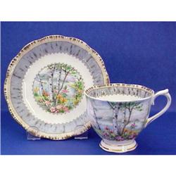English China Cup & Saucer SILVER BIRCH #940556
