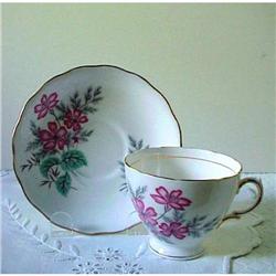 Colclough Cup & Saucer WILD FLOWERS #940565