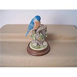 Eastern Bluebird from the Gallery of Birds #942623