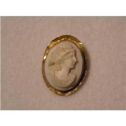 BEZEL SET SHELL CAMEO PIN #942754
