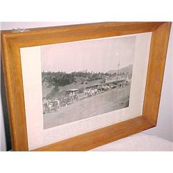 Photo print, pike's peak (col.) toll toad   #942821