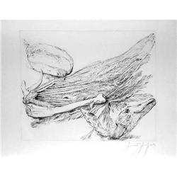 GUNTHER GRASS GERMAN 1982 DRYPOINT ETCHING #957963