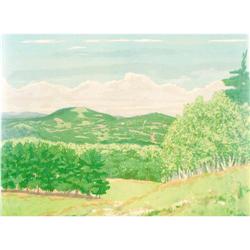 RAY CIARROCHI LANDSCAPE SERIGRAPH #957970