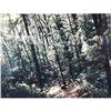Image 1 : JOHN PFAHL 1975 ED 15 DYE TRANSFER COLOR PHOTO #957975