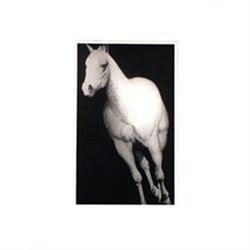 JOSEPH PICCILLO HORSE REALISM S&N ETCHING #957980