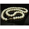7-8mm Freshwater White Pearl Necklace & Gold #958196