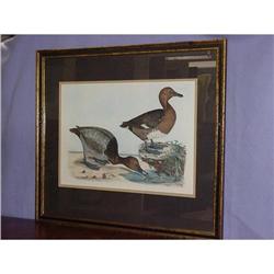 Duck Engraving SKU 5714 #958731