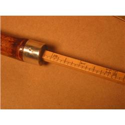 Horsemeasuring Cane #974017
