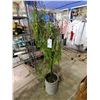 Image 2 : FAUX PLANT APPROX 6.7 FT