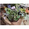 Image 2 : 3 FAUX PLANTS & PLANTER