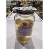 Image 2 : PRESERVED WET PIG SPECIMEN