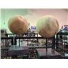 Image 3 : ASSORTED TEAK DECORATIVE SPHERES