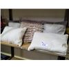 Image 1 : ASSORTED DECORATIVE PILLOWS