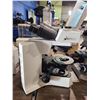 Image 2 : OLYMPUS EX 41 MICROSCOPE
