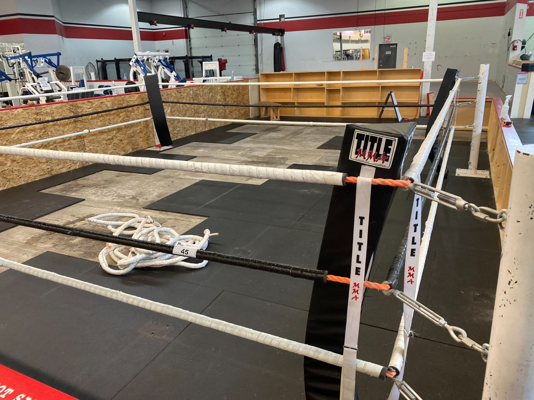 TITLE MMA PROFESSIONAL BOXING RING