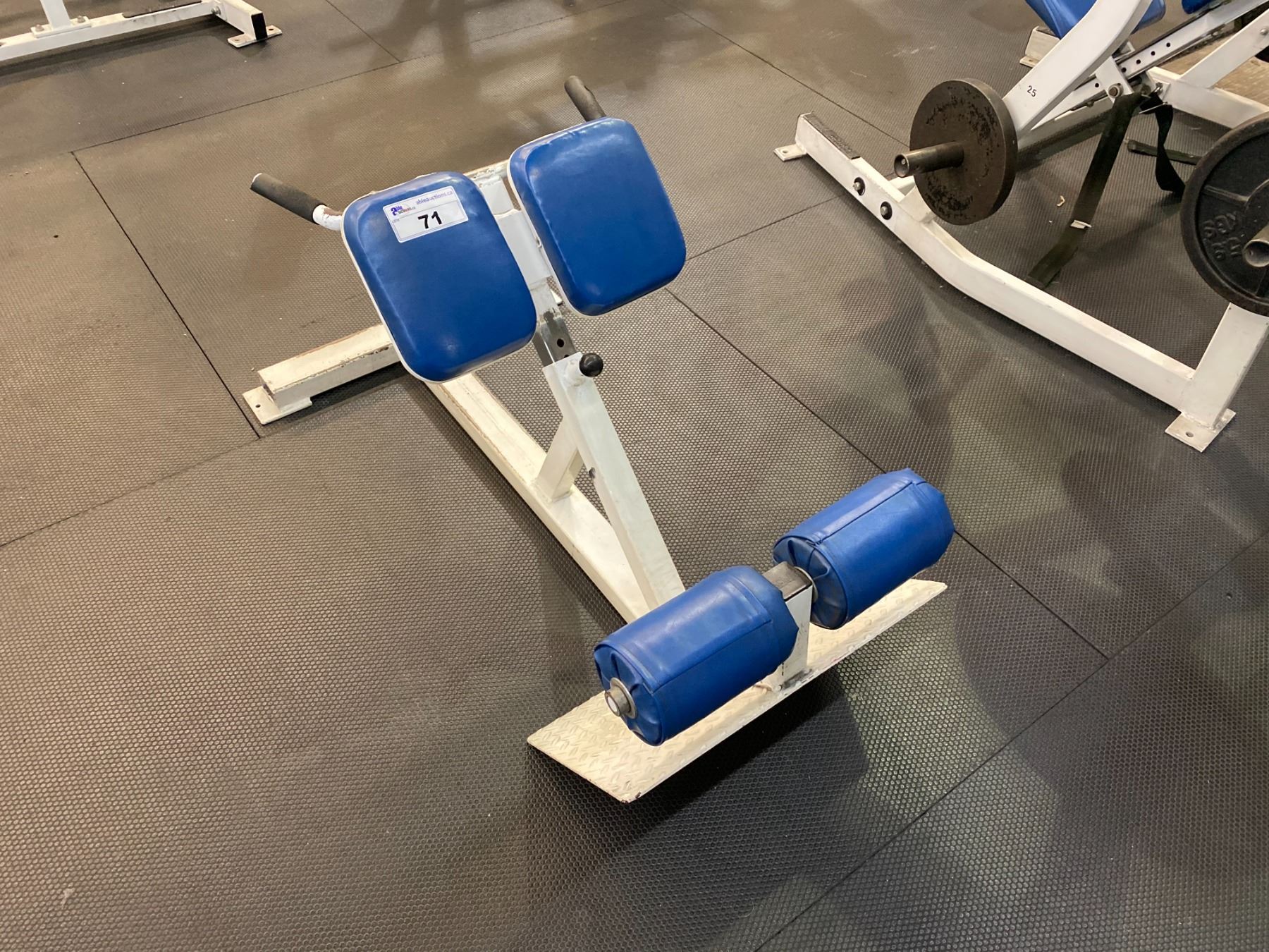 APEX HYPER EXTENSION MACHINE - Able Auctions