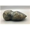 Image 3 : Rare, Small Sized Prehistoric Axe Head