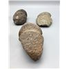 Image 6 : Group of Prehistoric Stone Tools