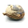 Image 9 : Group of Artifacts