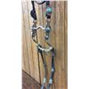 Image 23 : Tommy Singer Saddle with Accessories
