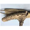 Image 4 : Handmade Antler Handle Knife