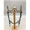 Image 2 : Grijalva Lady Leg Horse Bit