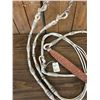 Image 10 : Fancy Rawhide Braided Bridle With JWP Spade Bit