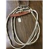 Image 18 : Fancy Rawhide Braided Bridle With JWP Spade Bit