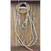 Image 1 : Fancy Rawhide Braided Bridle With JWP Spade Bit
