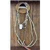 Image 23 : Fancy Rawhide Braided Bridle With JWP Spade Bit