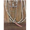 Image 3 : Fancy Rawhide Braided Bridle With JWP Spade Bit